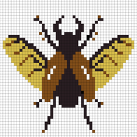 Copy of beetle.jpg