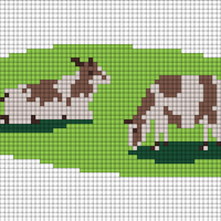 vaca
