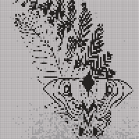 Copy of 0A72D777-8C0F-43E7-B742-8A8FE688A773.jpeg