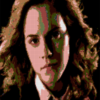 hermione posterized.png