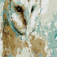 owl.png