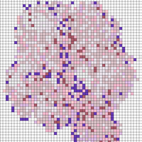 prueba 2-56.jpg