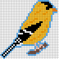 bird2