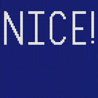 Copy of nice real REAL