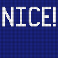Copy of nice real REAL