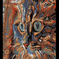 cat.png