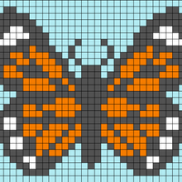 butterfly