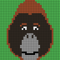 Orangutan 2.jpg