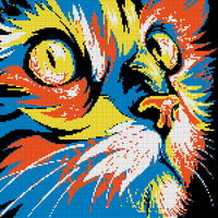 cat.webp