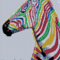 zebra.jpg