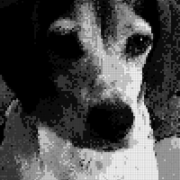 A35B5084-034B-49EE-A881-941479740BF7.jpeg