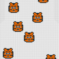 Tiger Pattern Front