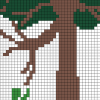 Fungi Project