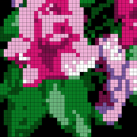 Floral Print.png
