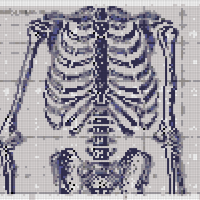 Life size filet skeleton!.jpg