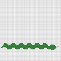 snake