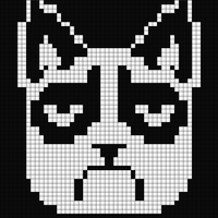 grumpy cat.jpeg