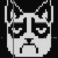 grumpy cat.jpeg