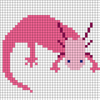 Axolotl