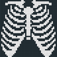 Copy of rib cage