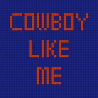 Cowboy Like Me Vest
