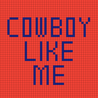 Copy of Cowboy Like Me Vest