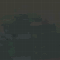 Layer 1.png