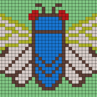 cicada