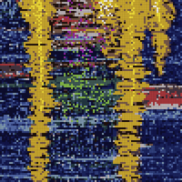 IMG_2893.jpeg