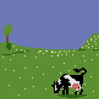 Cows front