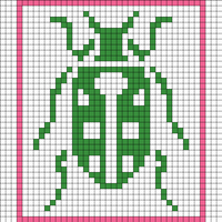 Ladybug
