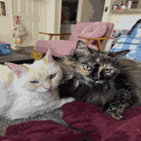 IMG_4763.jpeg