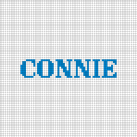 connie tote