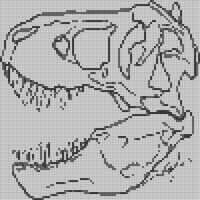 dino skull.jpeg