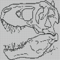 dino skull.jpeg