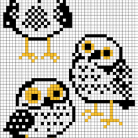 oopik