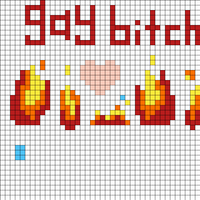gay b*tch
