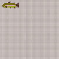 Rainbow Trout