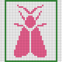 Moth