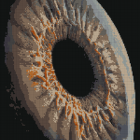 human eye.jpg