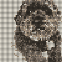 IMG_5127.jpeg