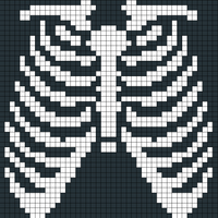 Copy of Copy of rib cage