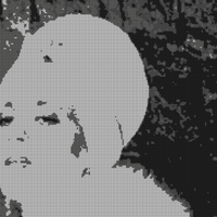 IMG_9257.jpeg