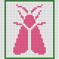 Moth