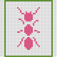 Ant