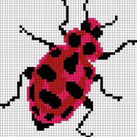 Copy of lady beetle.jpeg
