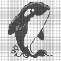 cute-orca-whale-illustration-killer-whale-cartoon-clipart-vector.jpg