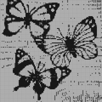IMG_20230703_185944.jpg