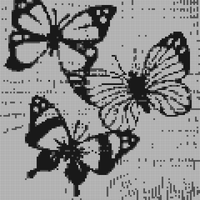 Copy of IMG_20230703_185944.jpg