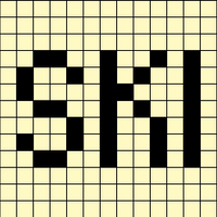 Copy of SKI
